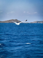 Sardinia